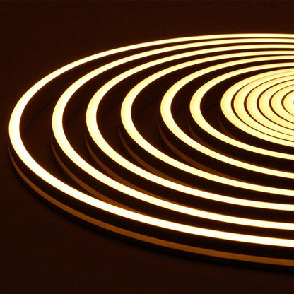 LED Strip Neon Light